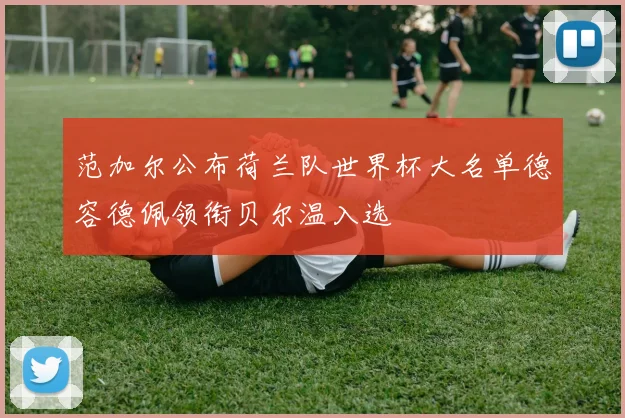 范加尔公布荷兰队世界杯大名单德容德佩领衔贝尔温入选