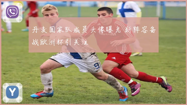 丹麦国家队成员头像曝光 新阵容备战欧洲杯引关注