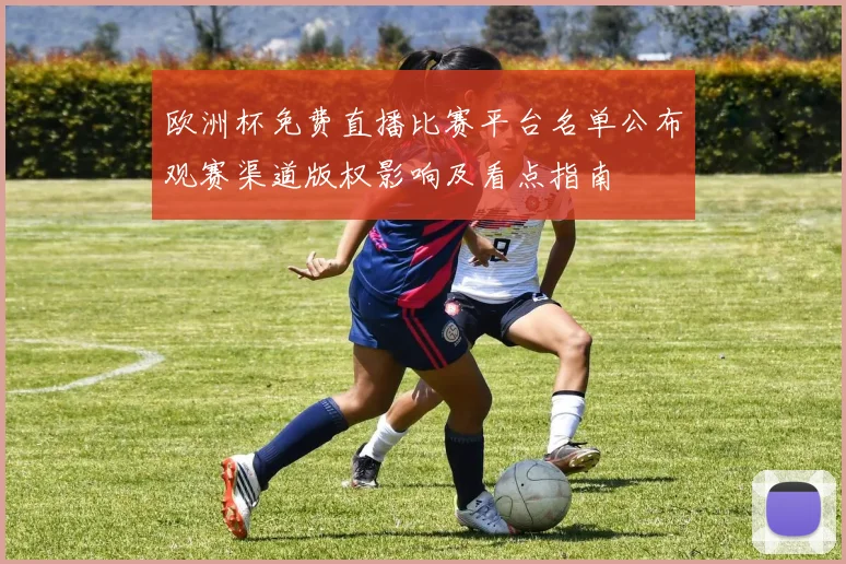 欧洲杯免费直播比赛平台名单公布观赛渠道版权影响及看点指南