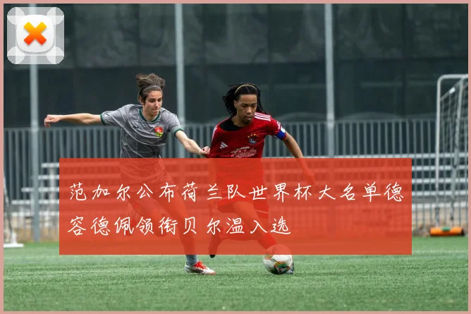 范加尔公布荷兰队世界杯大名单德容德佩领衔贝尔温入选