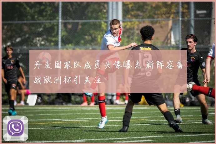 丹麦国家队成员头像曝光 新阵容备战欧洲杯引关注